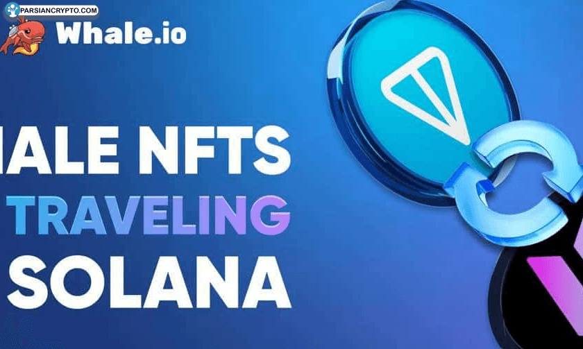 پل NFT Whale راه‌اندازی شد؛ مهاجرت از بلاکچین TON به Solana! عکس