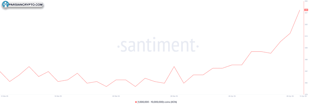 انباشت اونیکس کوین توسط نهنگ‌ها