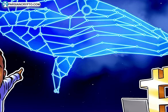 اسپات بیت کوین ETF افول کرد، اما نهنگ‌ها روند صعودی را تقویت می‌کنند! عکس
