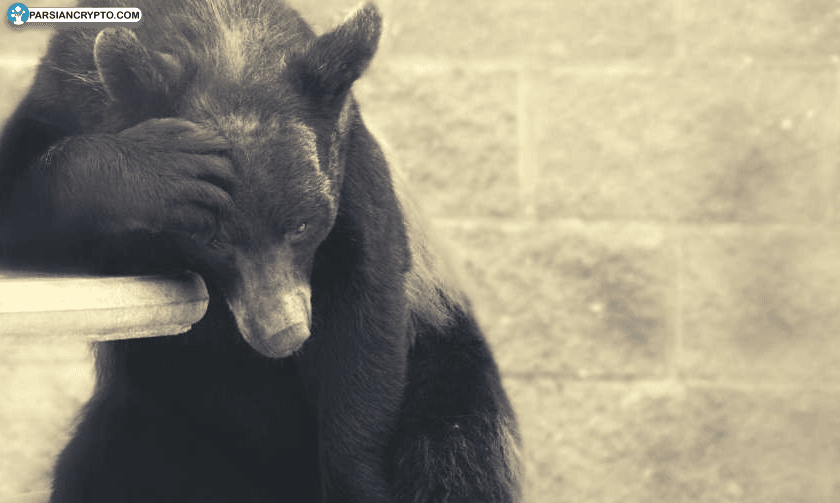 بیت کوین بر فراز ۱۰۱ هزار دلار؛ موج بزرگ لیکوئیدیشن‌ها! عکس