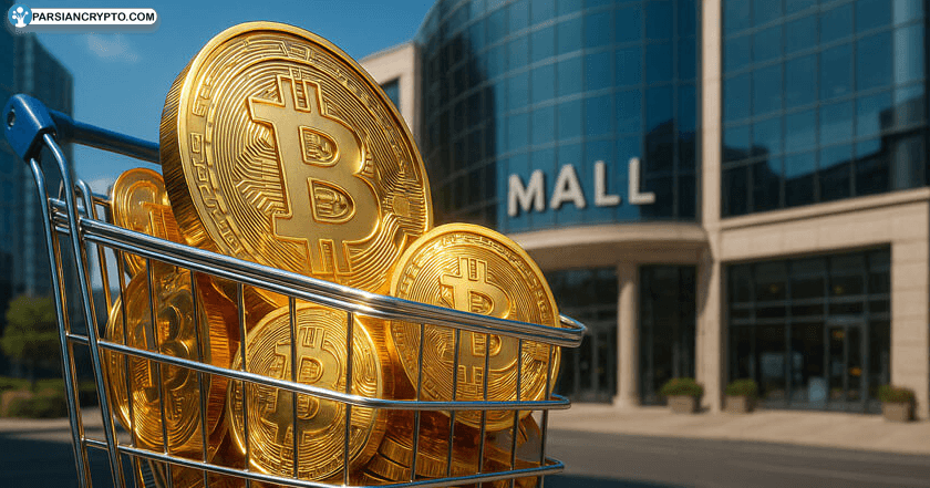 بیت کوین در احاطه ثروتمندان؛ تنها ۱۷٪ برای خرده‌مالیان باقی ماند! عکس