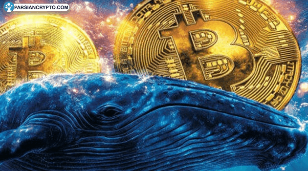 آیا بیت کوین به سقف تاریخی جدید می‌رسد؟ تحلیل جسورانه جیمز وین پس از ضرر میلیاردی! عکس