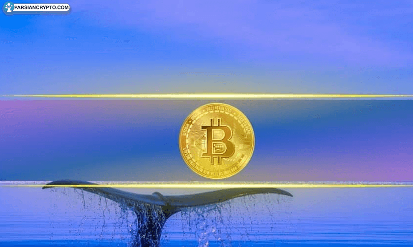 بیت کوین در دست نهنگ‌ها؛ موقعیت ۳۹۳ میلیون دلاری با اهرم بالا! عکس