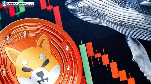 شیبا در مسیر پرواز یا سقوط؟ تحلیل جدید درباره حرکت نهنگ‌ها و قیمت‌ها عکس