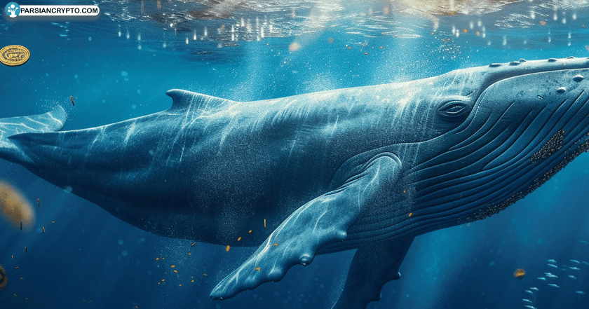 بیت کوین‌های مخفی جاده ابریشم زنده شدند؛ انتقال ۳۴۲۲ بیت کوین پس از ۱۲ سال! عکس