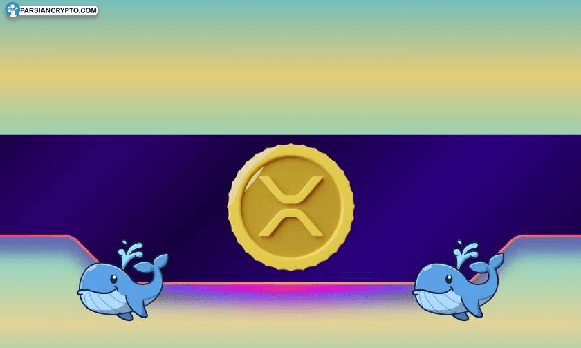 آیا خرید نهنگ‌ها باعث جهش قیمت XRP می‌شود؟ عکس