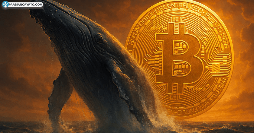 بازگشت وال قدرتمند بیت‌فینکس؛ انفجار خرید بیت کوین! عکس