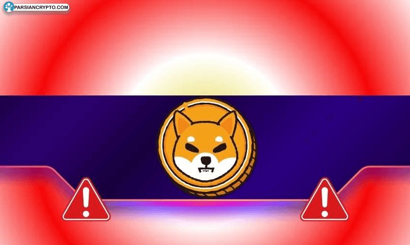 شایبا اینو در خطر—آیا سرمایه شما امن است؟ عکس