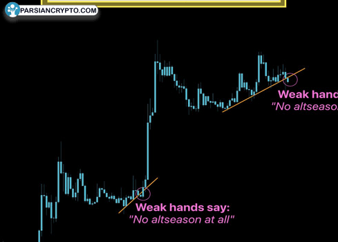 دوج‌کوین در اوج؛ شیبا به دنبال بازیابی! نمودار تکنیکال چه می‌گوید؟ عکس