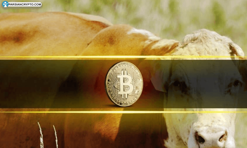 تقویت نقدینگی بیت کوین؛ آماده پرش بزرگ بازار! عکس
