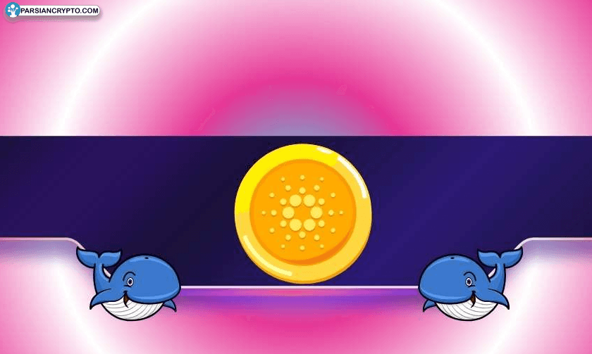 کاردانو در خطر سقوط؟ آیا ۴۰۰۰۰۰۰ ADA فروش رفته می‌تواند قیمت را به زیر بکشاند؟ عکس