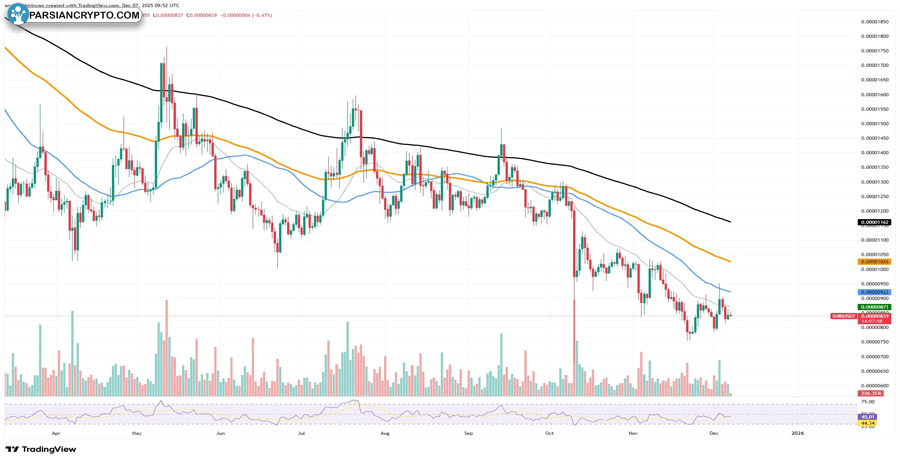 extreme-shiba-inu-anomaly-or-on-chain-error-23561900000000-shib-in-24-hours