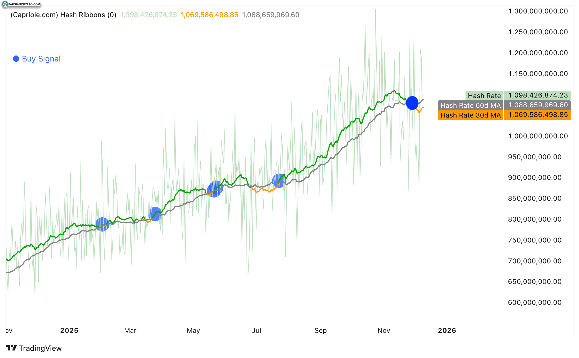 نمودار ربان‌های هش بیت کوین و تحلیل مالی