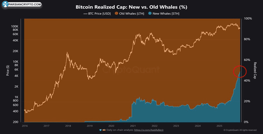 new-whale-buyers-now-drive-50-of-bitcoins-realized-cap-a-shift-from-old-cycles