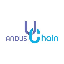 Andus Chain logo