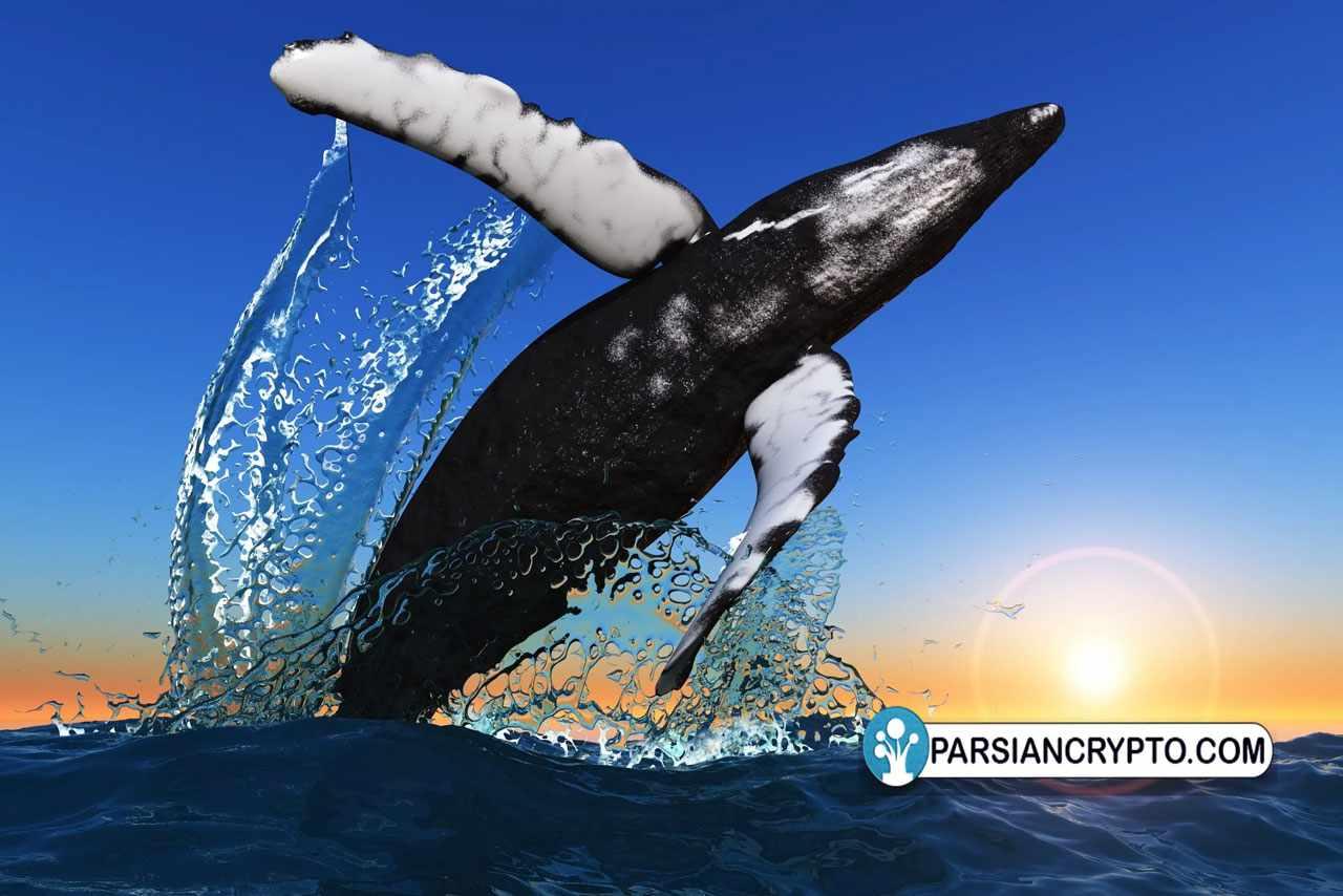 نهنگ های اتریوم بیش از ۴۰۰ میلیون دلار اتریوم خریدند؛ آیا قیمت اتریوم بالا می‌رود؟ عکس