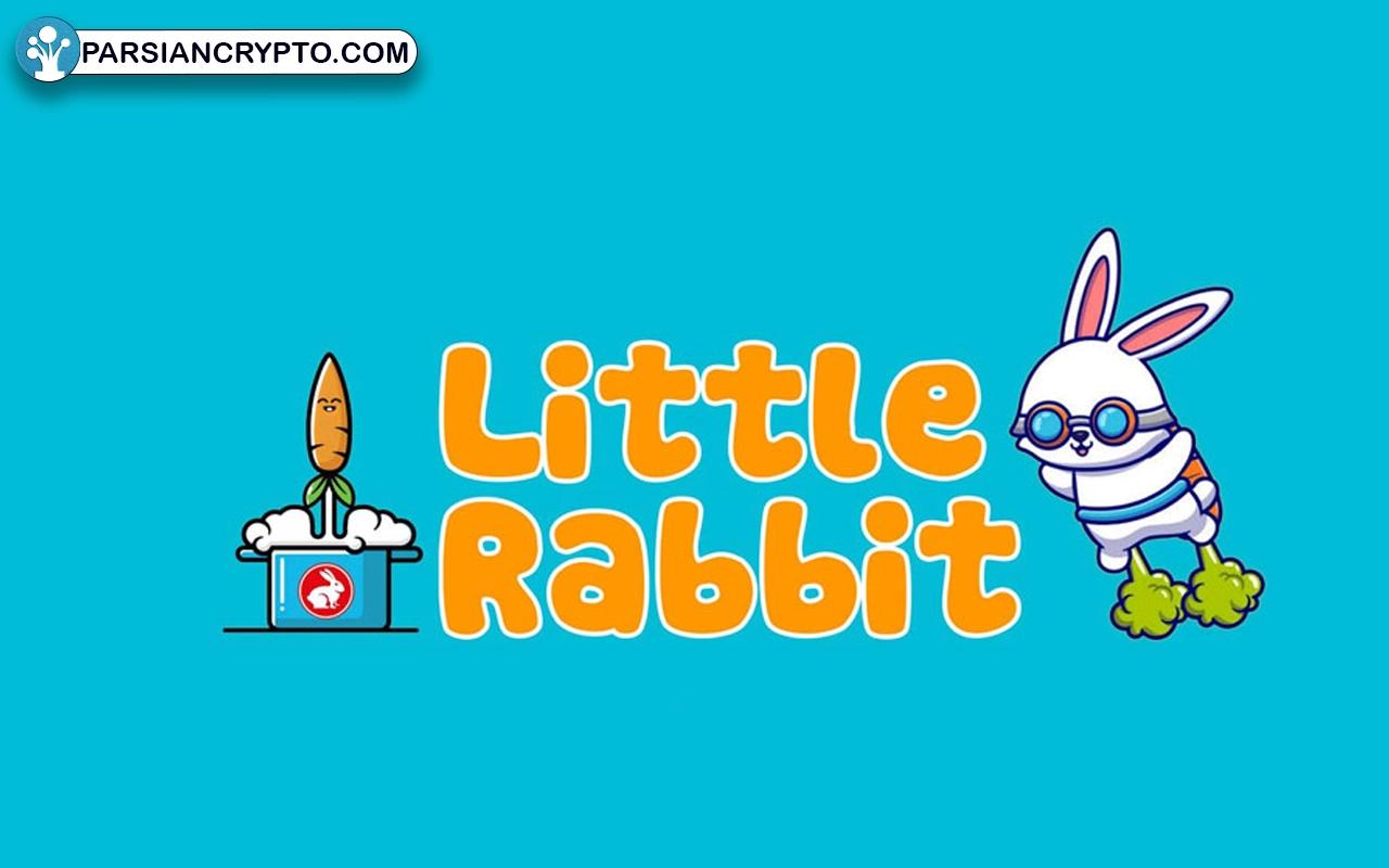 معرفی ارز دیجیتال Little Rabbit؛ بررسی لیتل ربیت و  توکن LTRBT عکس