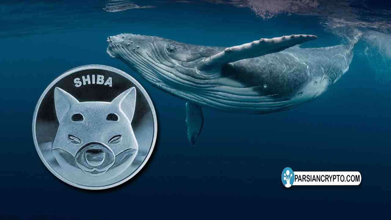 نهنگهای شیبا اینو با جابجایی ۴۹ میلیارد توکن رکورد تازهای در شیباریوم به ثبت رساندند عکس