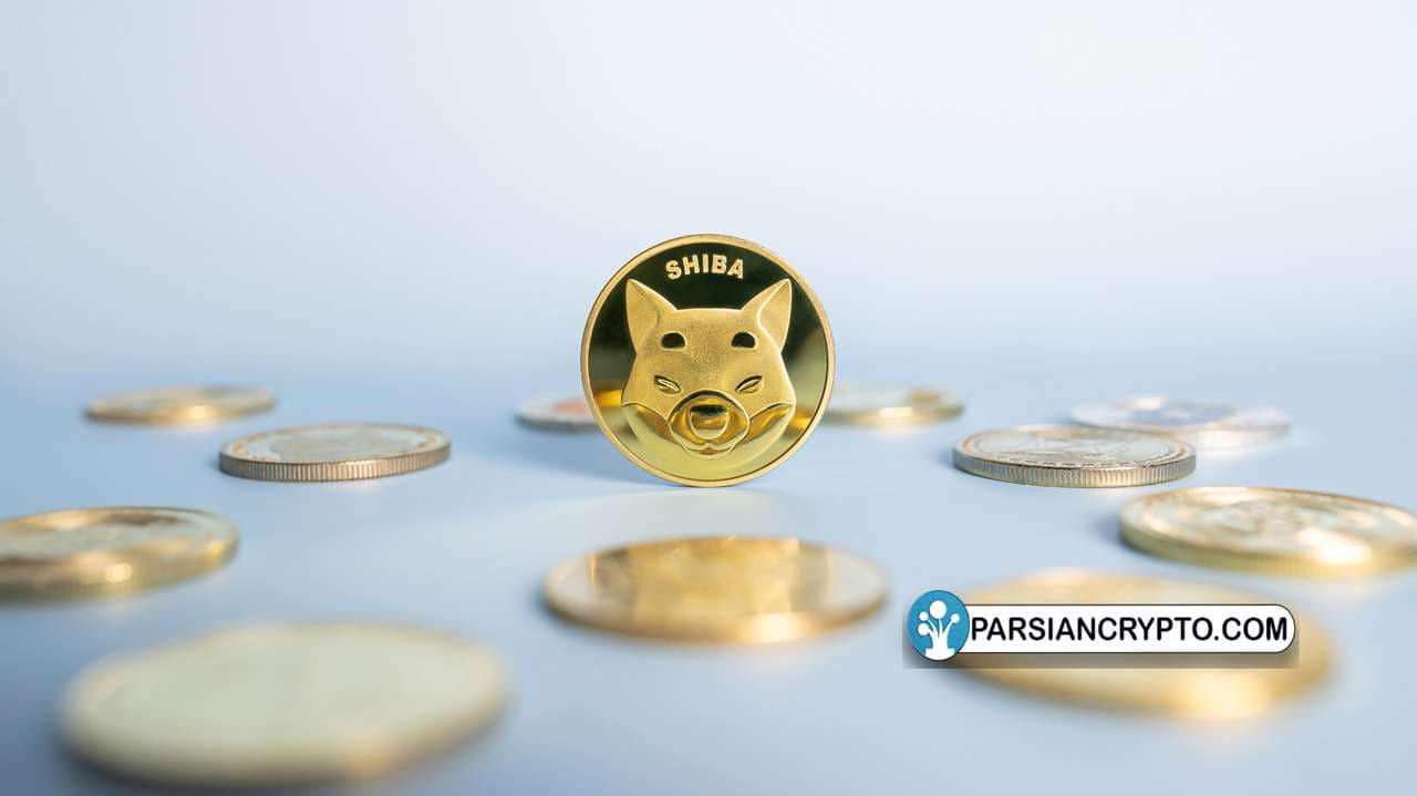 نهنگ مرموز بعد از فروش تمام توکنهای شیبا اینو و بون، روی پپه سرمایهگذاری کرد عکس