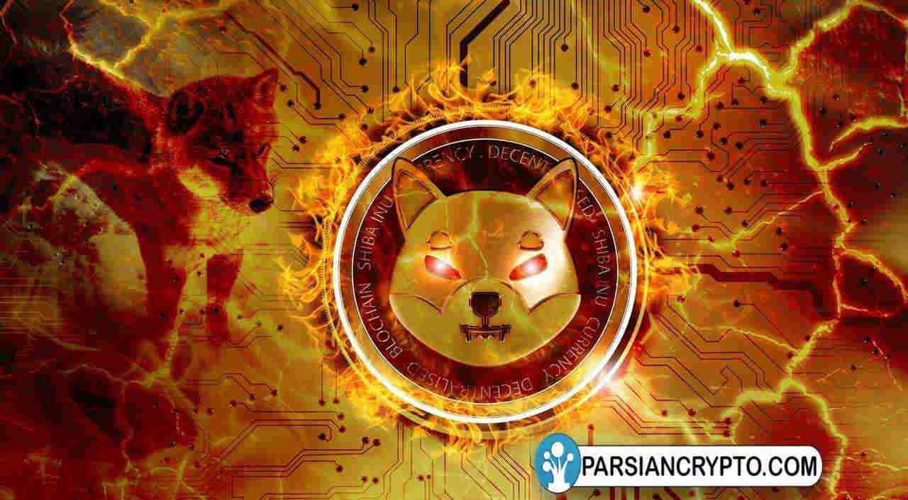 قول شیتوشی کوساما برای رشد ۱۵۰۰ درصدی عملکرد شیباریوم؛ بهبود اندک قیمت شیبا اینو عکس