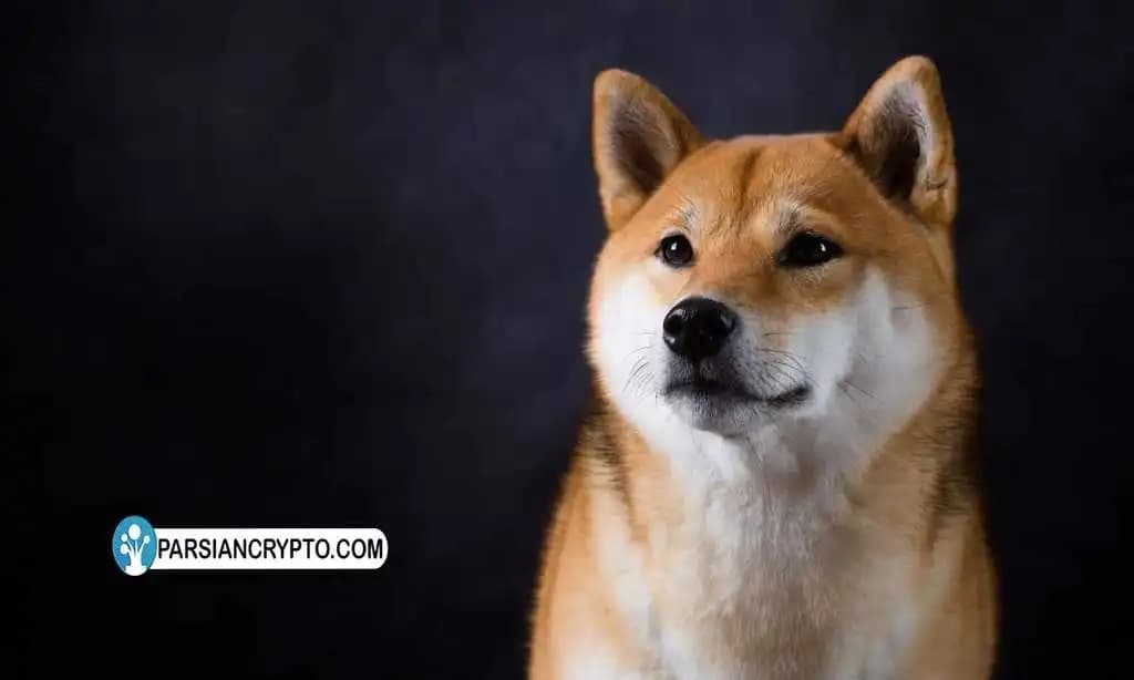 خروج ۴.۵ تریلیون توکن شیبا اینو از صرافی بیت ویوو؛ ادامه پذیرش رمزارزهای شبکه شیباریوم عکس