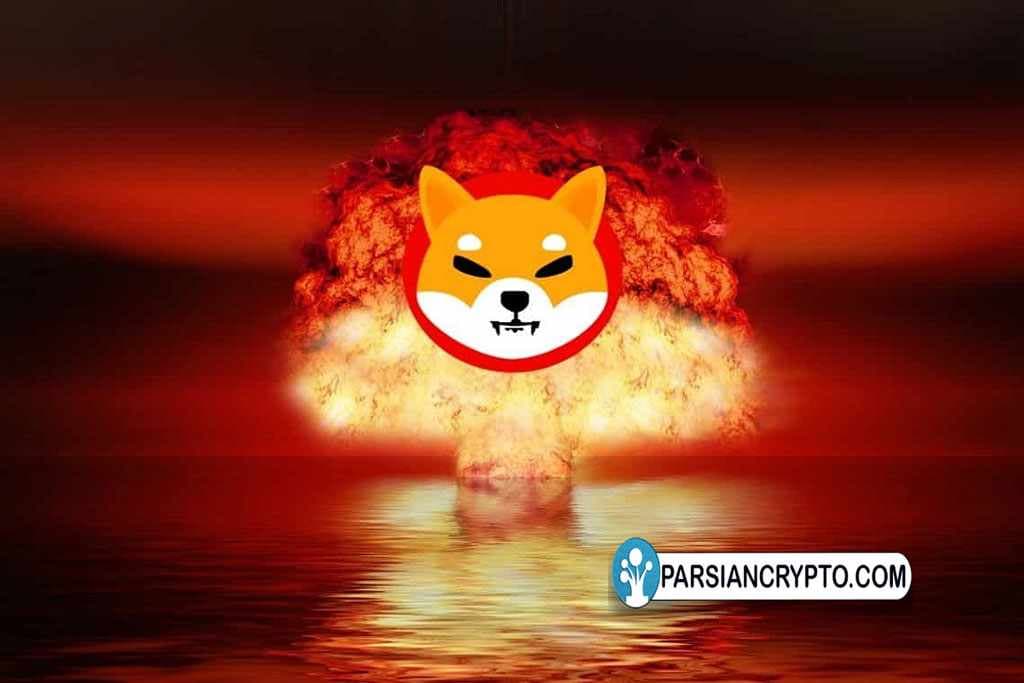 شیتوشی کوساما بهجای توکنسوزی از پذیرش گستردهتر شبکه حمایت کرد عکس