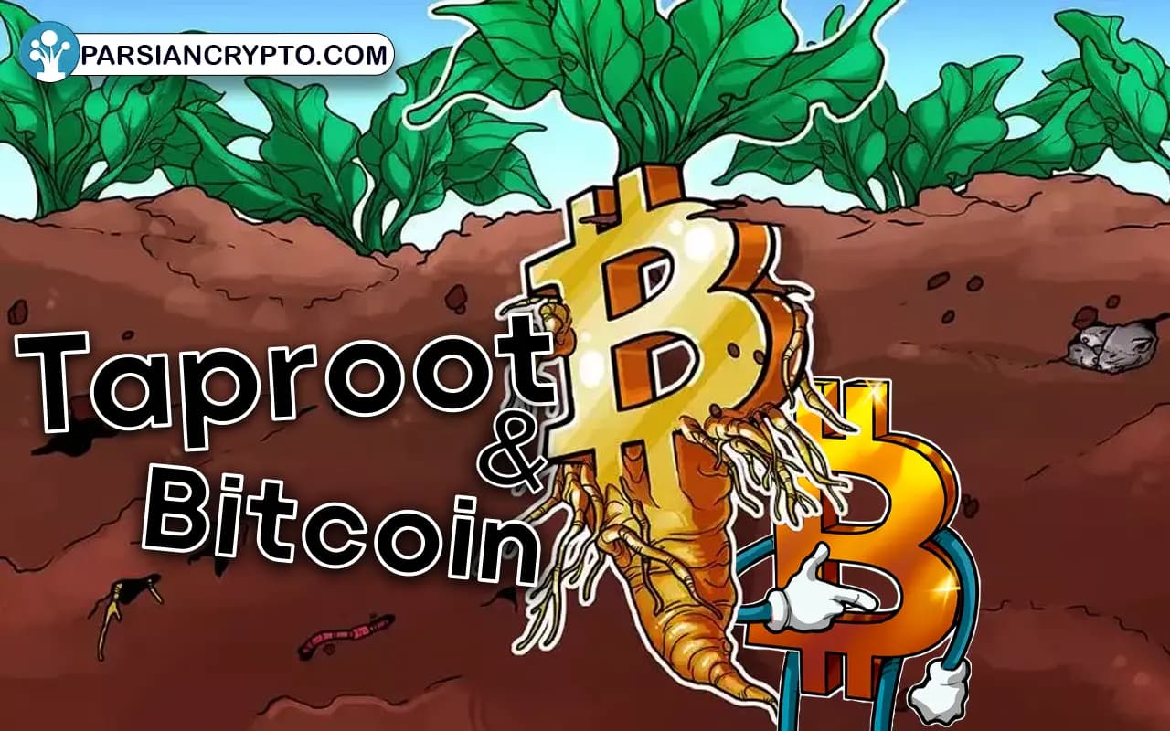 تاثیر تپ روت بر بیت کوین چگونه است؟