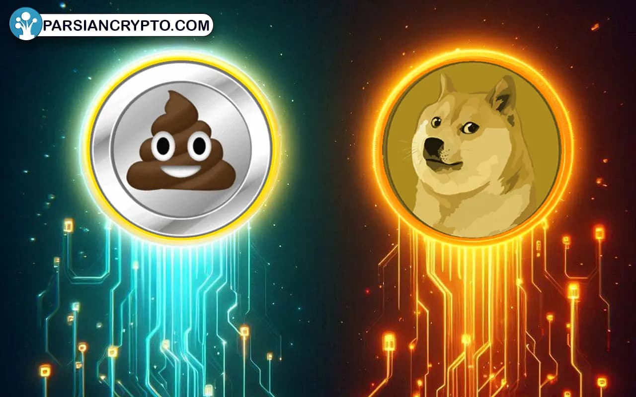 تفاوتهای اصلی میم کوینهای انفجاری و شت کوینهای معروف