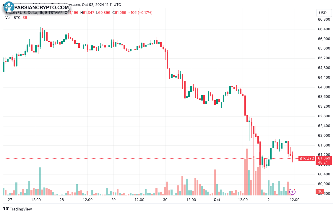 نمودار ۱ ساعته BTC/USD با دادههای حجم