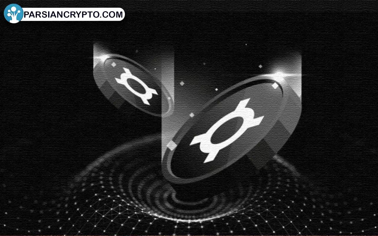 پیشنهاد جدید برای استفاده از بودجه بلکراک در حمایت از ارز پایدار فراکس! عکس