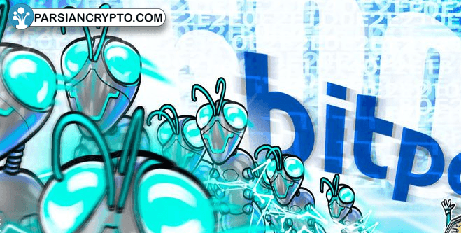 افزایش تراکنشهای ارز دیجیتال در سال ۲۰۲۴! عکس
