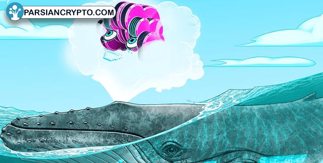 سرمایهگذاری بزرگ در ارز دیجیتال؛ سود کلان در کمتر از سه هفته! عکس