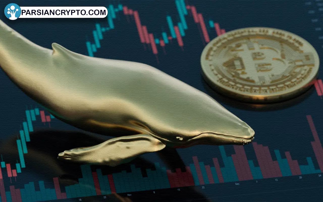 بازار کریپتو در تلاطم: آیا نهنگها با خرید کاردانو و پنکیکسواپ به صعود این رمزارزها امیدوارند؟ عکس