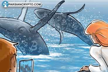 آیا نهنگهای بیت کوین قیمت BTC را به ۱۰۰ هزار دلار میرسانند؟ عکس