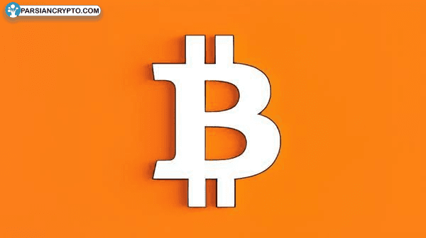 توییت تحلیلگر نالی