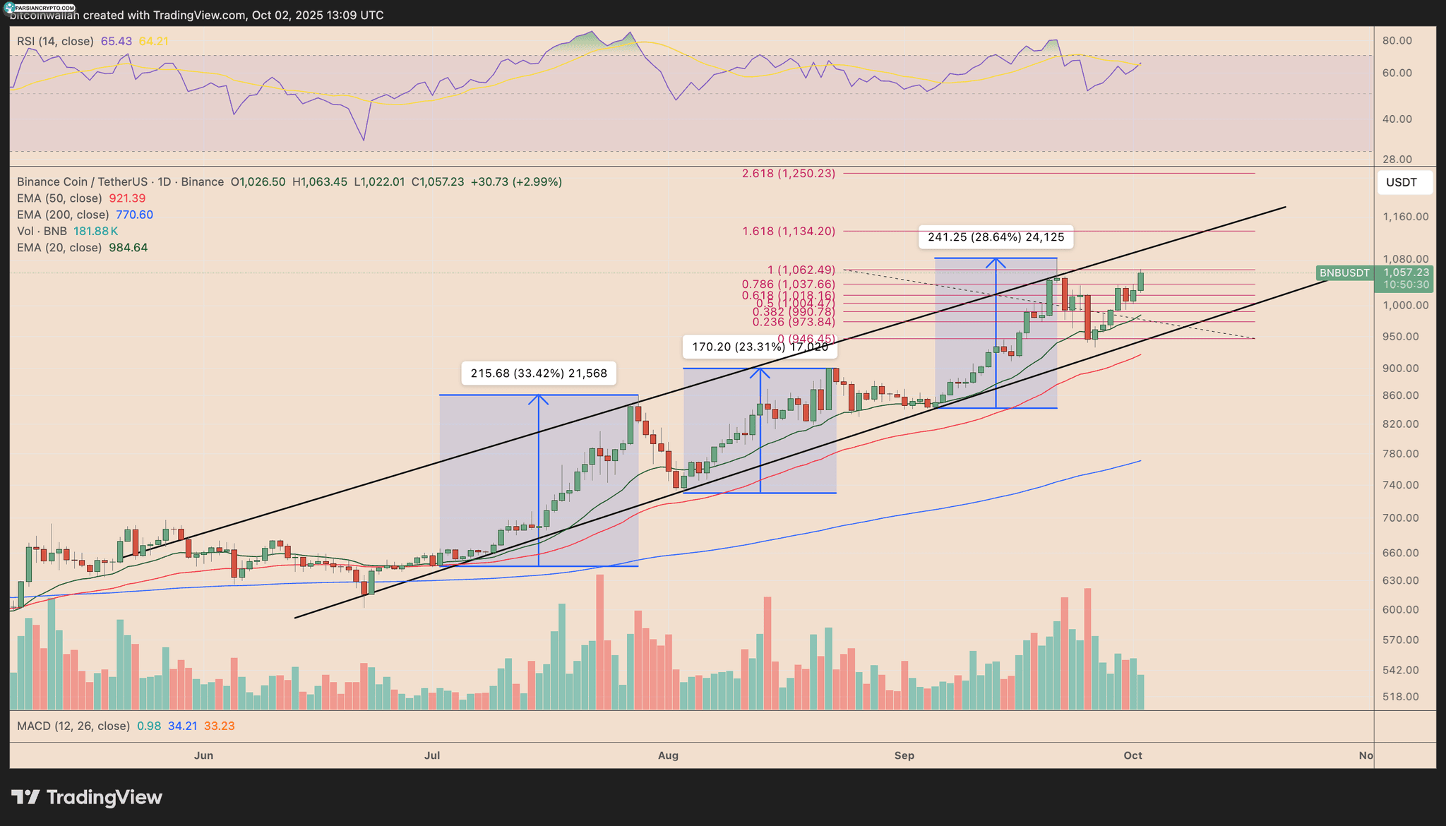 نمودار روزانه قیمت BNB/USD در بازار ارز دیجیتال